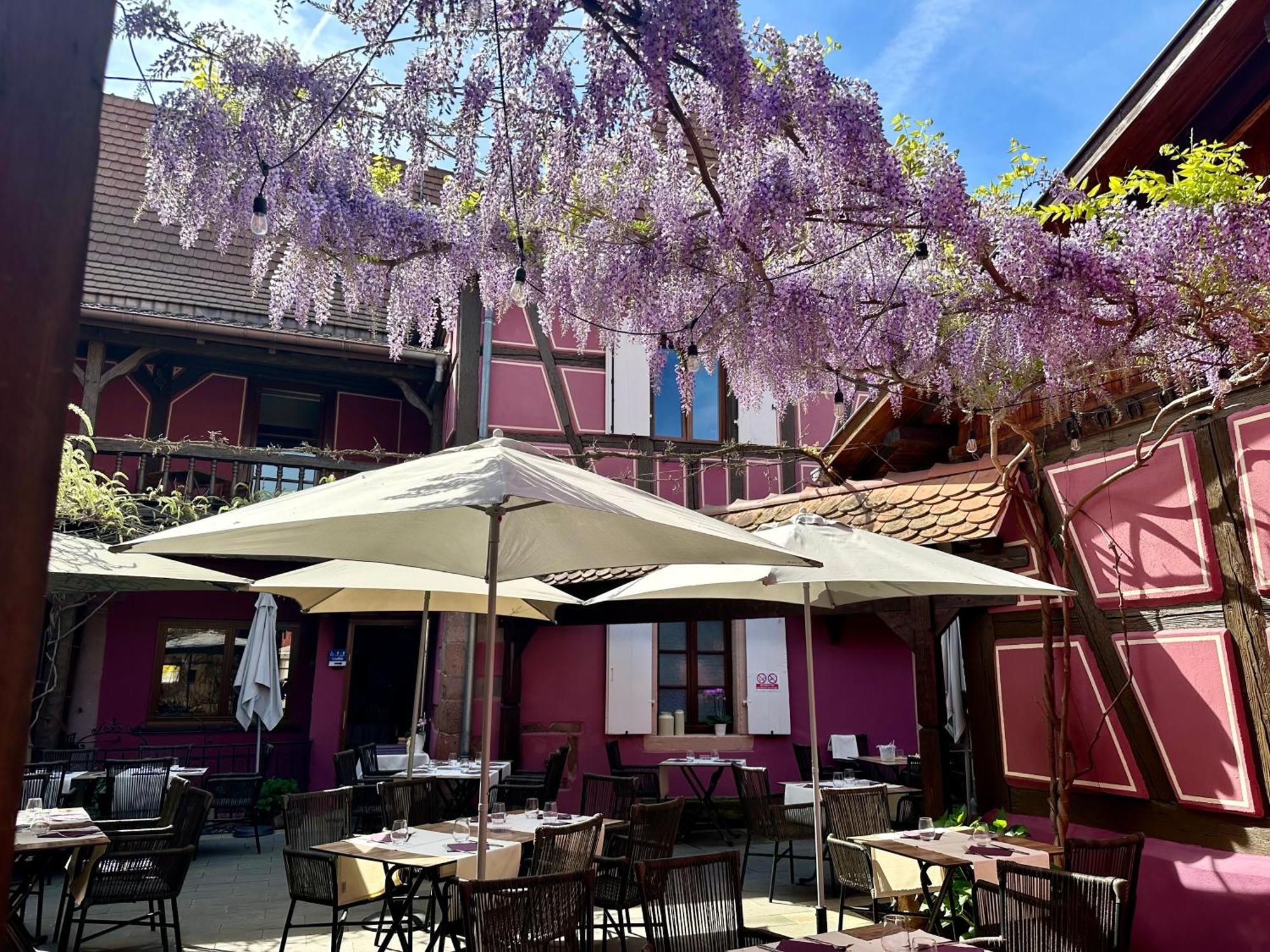 Auberge Le Meisenberg Chatenois  Luaran gambar