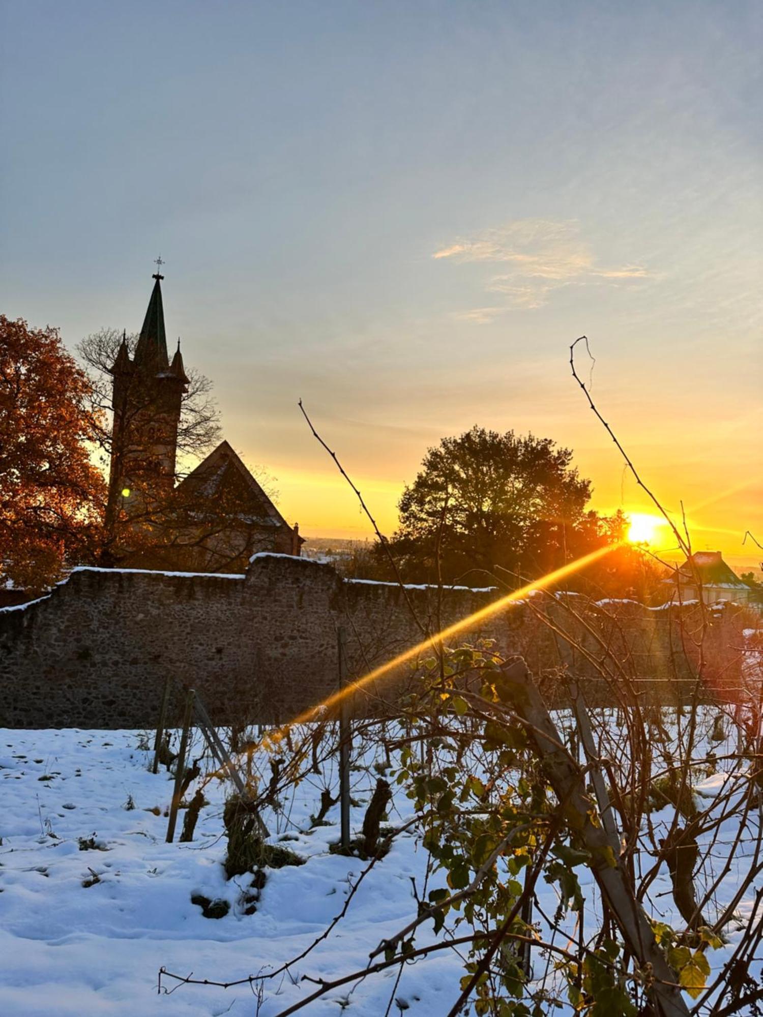 Auberge Le Meisenberg Chatenois  Luaran gambar